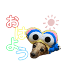さらまめ（個別スタンプ：6）