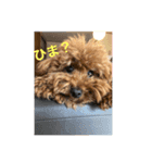 松本家の犬（個別スタンプ：2）