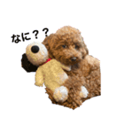 松本家の犬（個別スタンプ：8）