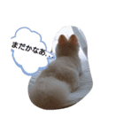 こびんスタンプ（個別スタンプ：2）