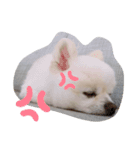 こびんスタンプ（個別スタンプ：5）