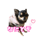 ぱんのつぶやき（個別スタンプ：2）