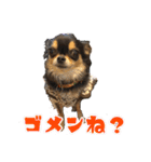 ぱんのつぶやき（個別スタンプ：5）