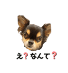 ぱんのつぶやき（個別スタンプ：7）
