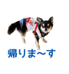 ぱんのつぶやき（個別スタンプ：8）