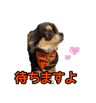 ぱんのつぶやき（個別スタンプ：9）