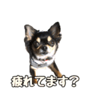 ぱんのつぶやき（個別スタンプ：14）