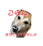 お姫様①（個別スタンプ：3）