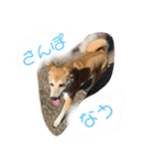 お姫様①（個別スタンプ：4）