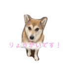 お姫様①（個別スタンプ：5）