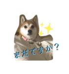 お姫様①（個別スタンプ：7）