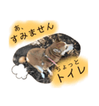 お姫様①（個別スタンプ：8）