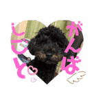 仲良し3人家族 ⑦（個別スタンプ：13）