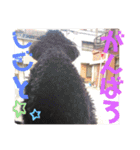 仲良し3人家族 ⑦（個別スタンプ：16）