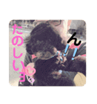 仲良し3人家族 ⑦（個別スタンプ：18）