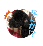 仲良し3人家族 ⑦（個別スタンプ：21）