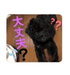 仲良し3人家族 ⑦（個別スタンプ：23）