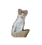 遠藤安藤（個別スタンプ：6）