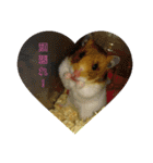 ♡ハム日和♡（個別スタンプ：3）