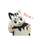 星の使者ー猫月（個別スタンプ：1）
