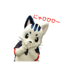 星の使者ー猫月（個別スタンプ：7）