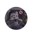 星の使者ー猫月（個別スタンプ：21）
