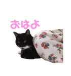 めいの日常で使うかもしれないスタンプ（個別スタンプ：1）