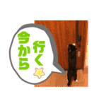 めいの日常で使うかもしれないスタンプ（個別スタンプ：30）