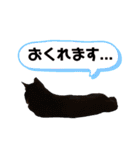めいの日常で使うかもしれないスタンプ（個別スタンプ：31）