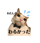 俺様は小次郎。2（個別スタンプ：7）