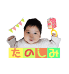 光ちゃんスタンプ②（個別スタンプ：11）