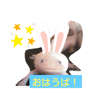 Dafunetubure（個別スタンプ：1）