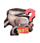 Dafunetubure（個別スタンプ：3）