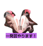 Dafunetubure（個別スタンプ：4）