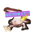 Dafunetubure（個別スタンプ：6）