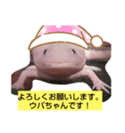 Dafunetubure（個別スタンプ：7）