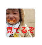 見られてる（個別スタンプ：1）