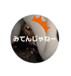 family stampkt（個別スタンプ：6）