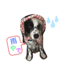 あっしゅスタンプ（個別スタンプ：3）