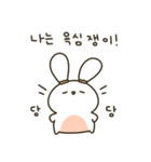 かわいい貪欲なウサギ(Kor)（個別スタンプ：1）