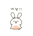 かわいい貪欲なウサギ(Kor)（個別スタンプ：5）