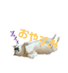 ふうか姐さんとちんぴらあすか（個別スタンプ：5）