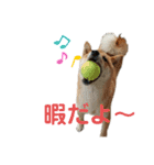 ふうか姐さんとちんぴらあすか（個別スタンプ：10）