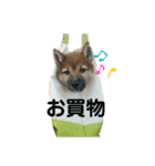 ふうか姐さんとちんぴらあすか（個別スタンプ：14）