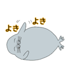 寒さになんか負けないぞ！オカメです。（個別スタンプ：19）