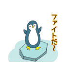 寒さになんか負けないぞ！オカメです。（個別スタンプ：39）