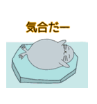 寒さになんか負けないぞ！オカメです。（個別スタンプ：40）