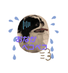 狆 ココ（個別スタンプ：7）