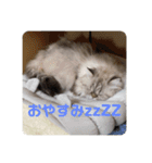 よしむねとじげん②（個別スタンプ：4）