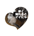 よしむねとじげん②（個別スタンプ：10）